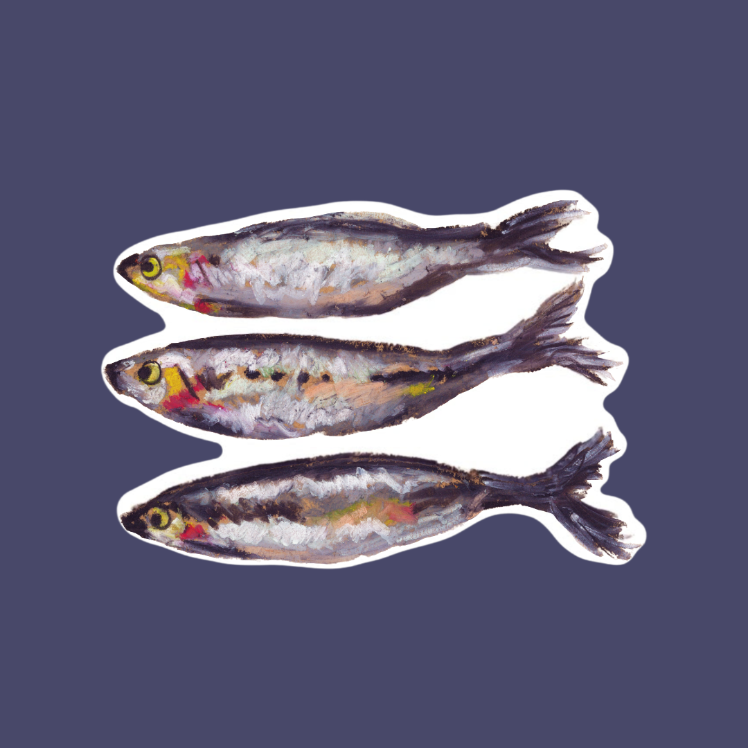 Sardines Sticker