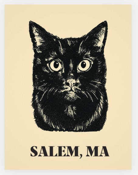 Black Cat Postcard
