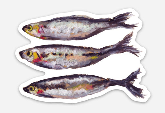 Sardines Sticker