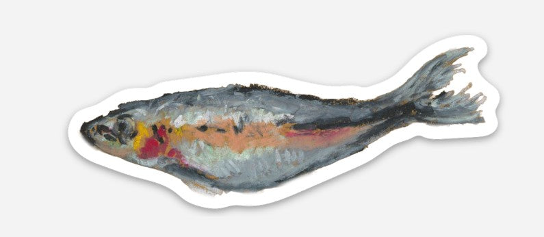 Sardine (solo) Sticker