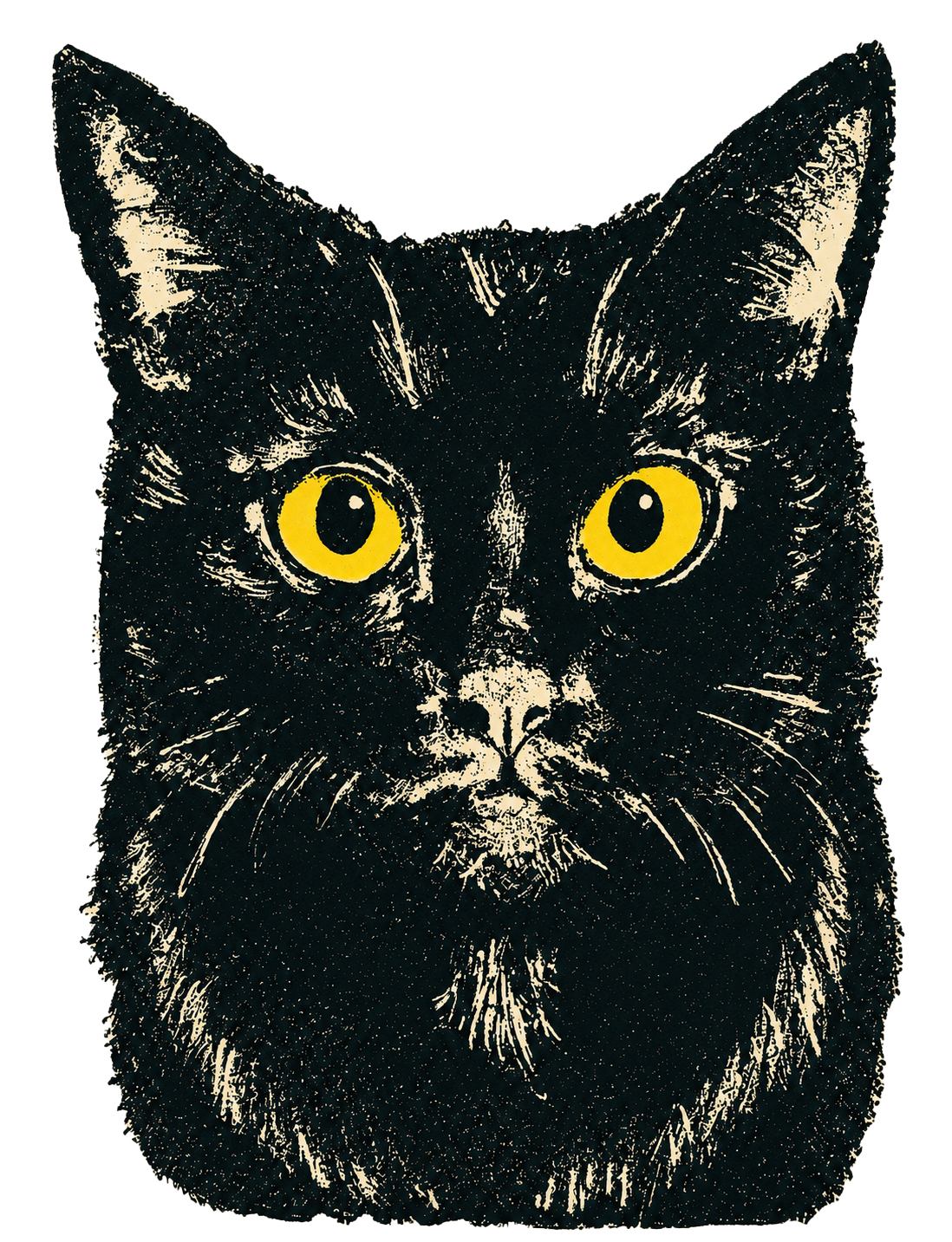 Black Cat Acrylic Pins