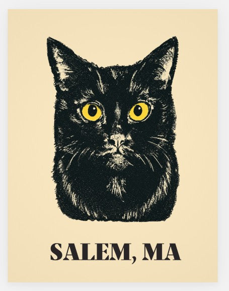 Black Cat Postcard