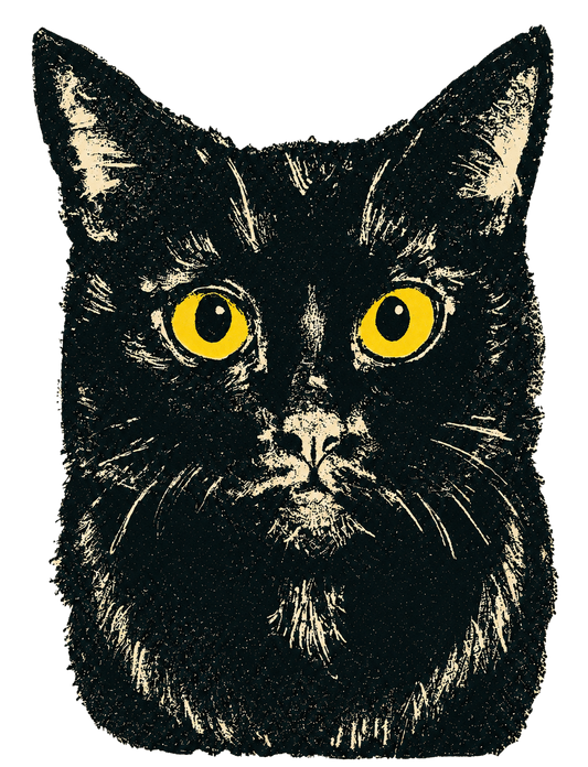 Black Cat Acrylic Pins